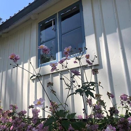 Seaside Cottage Haga Park Frobygarda Екстер'єр фото