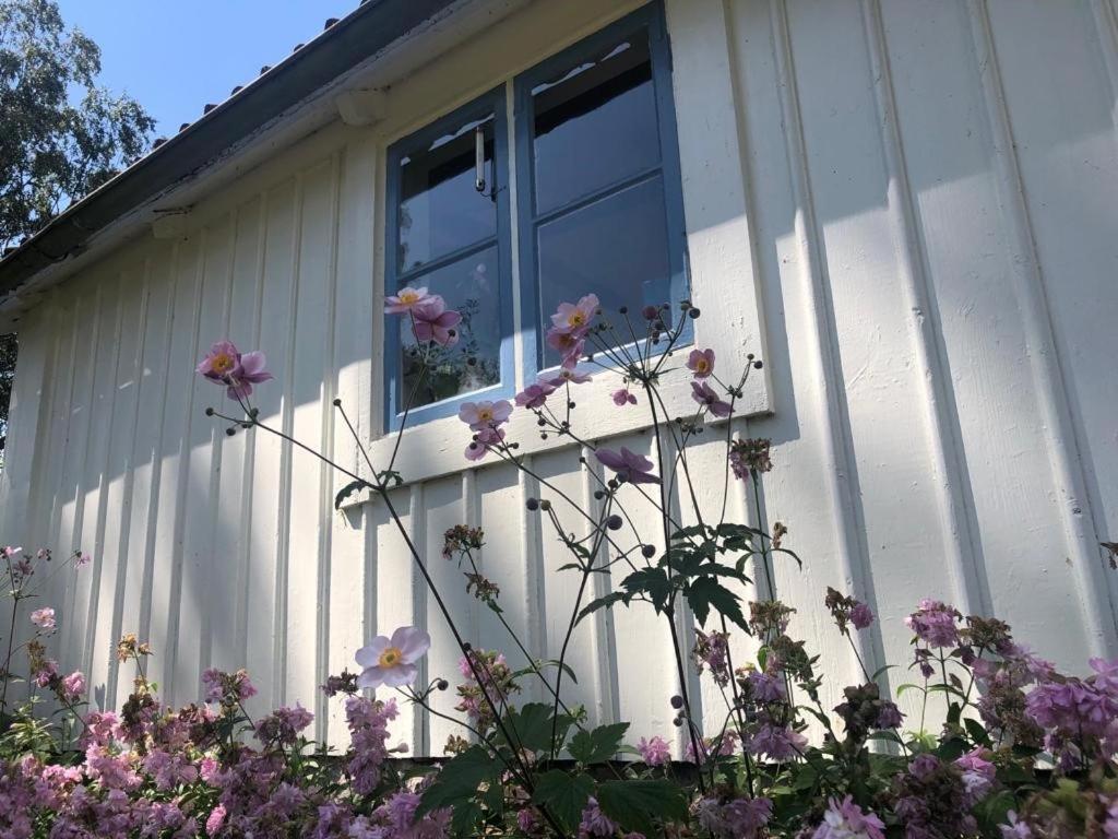 Seaside Cottage Haga Park Frobygarda Екстер'єр фото